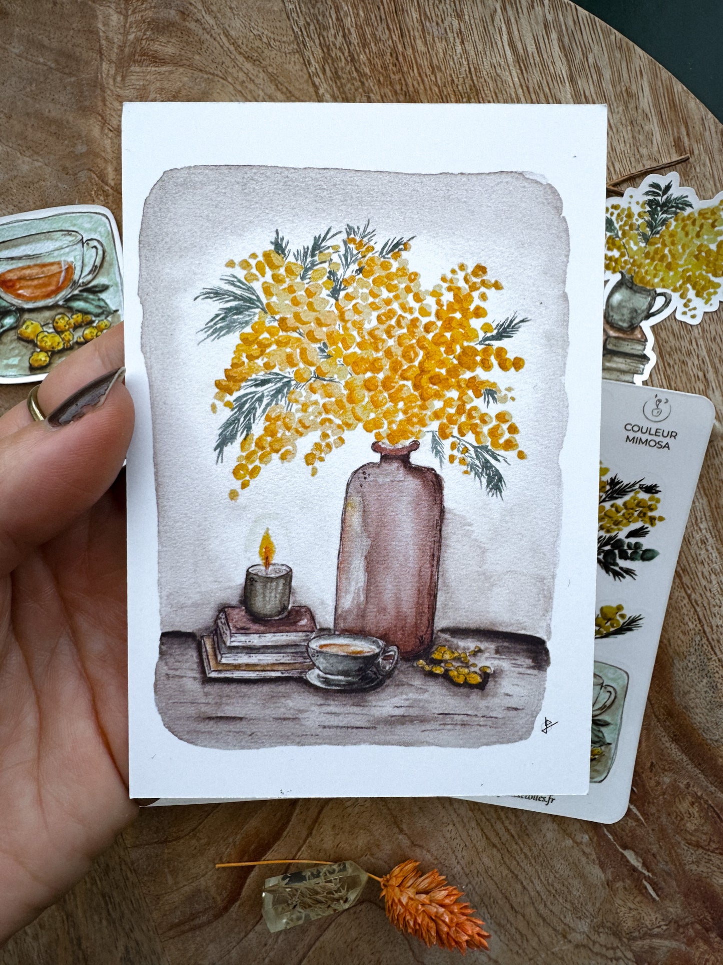 Couleur mimosa - capsule découverte
