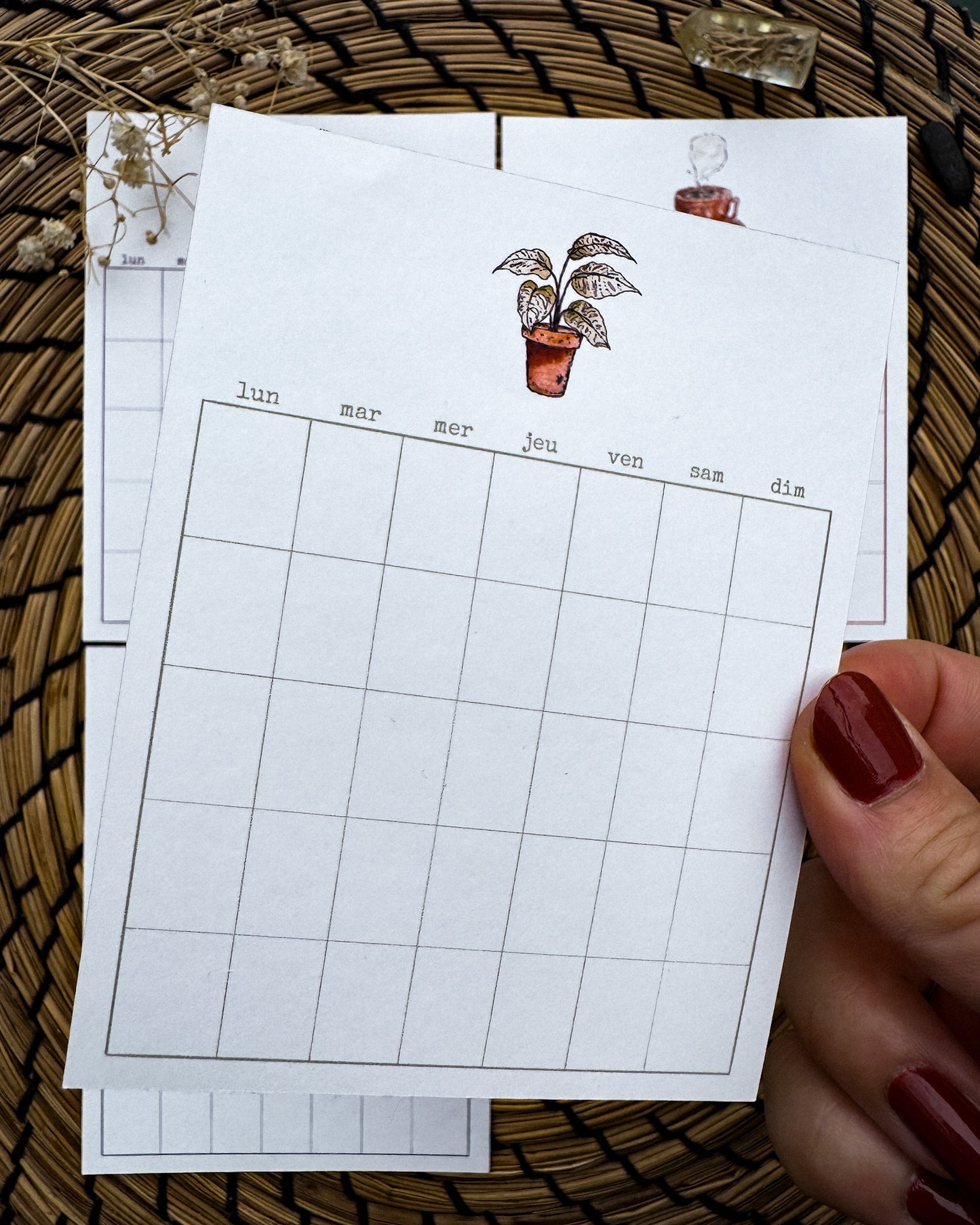 Bien chez soi - assortiment calendrier
