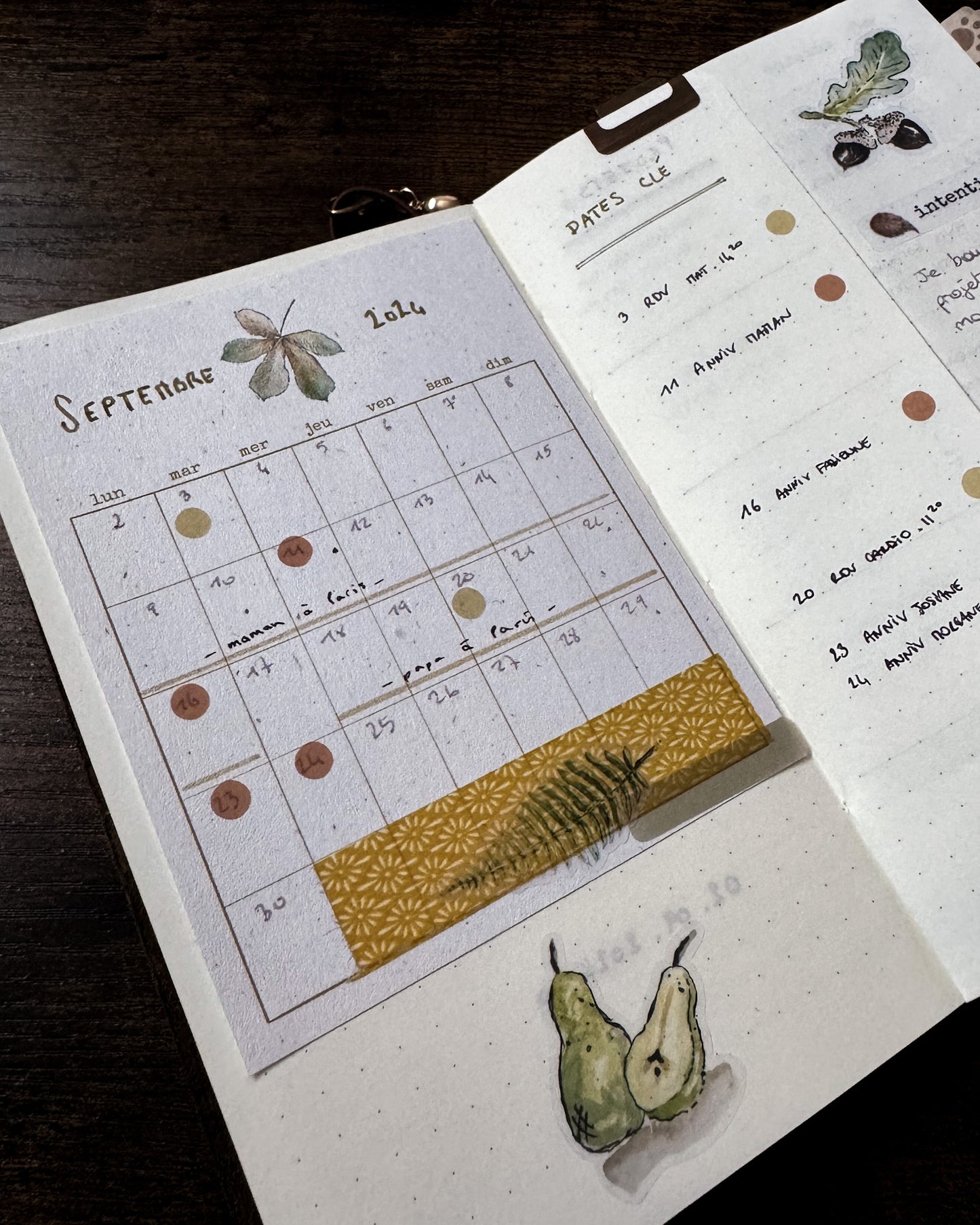 Couleurs automnales - Cercles 5mm