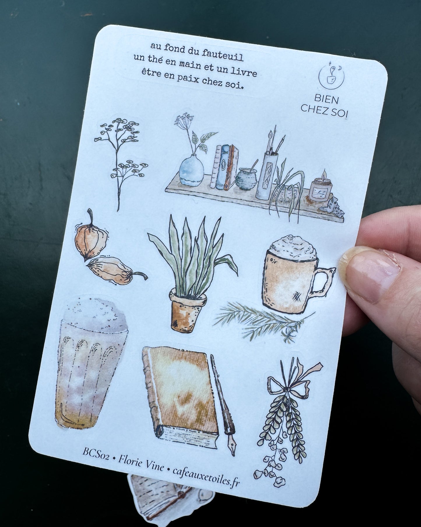 Bien chez soi - capsule découverte