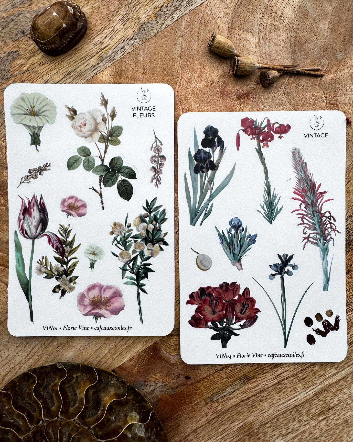 Fleurs vintage - capsule découverte