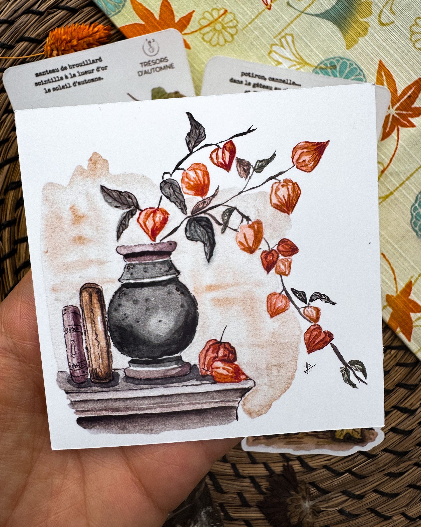 Automne orangé - capsule découverte