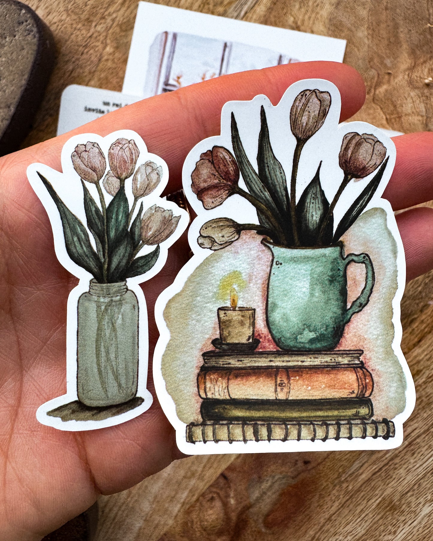 Tulipes - capsule découverte