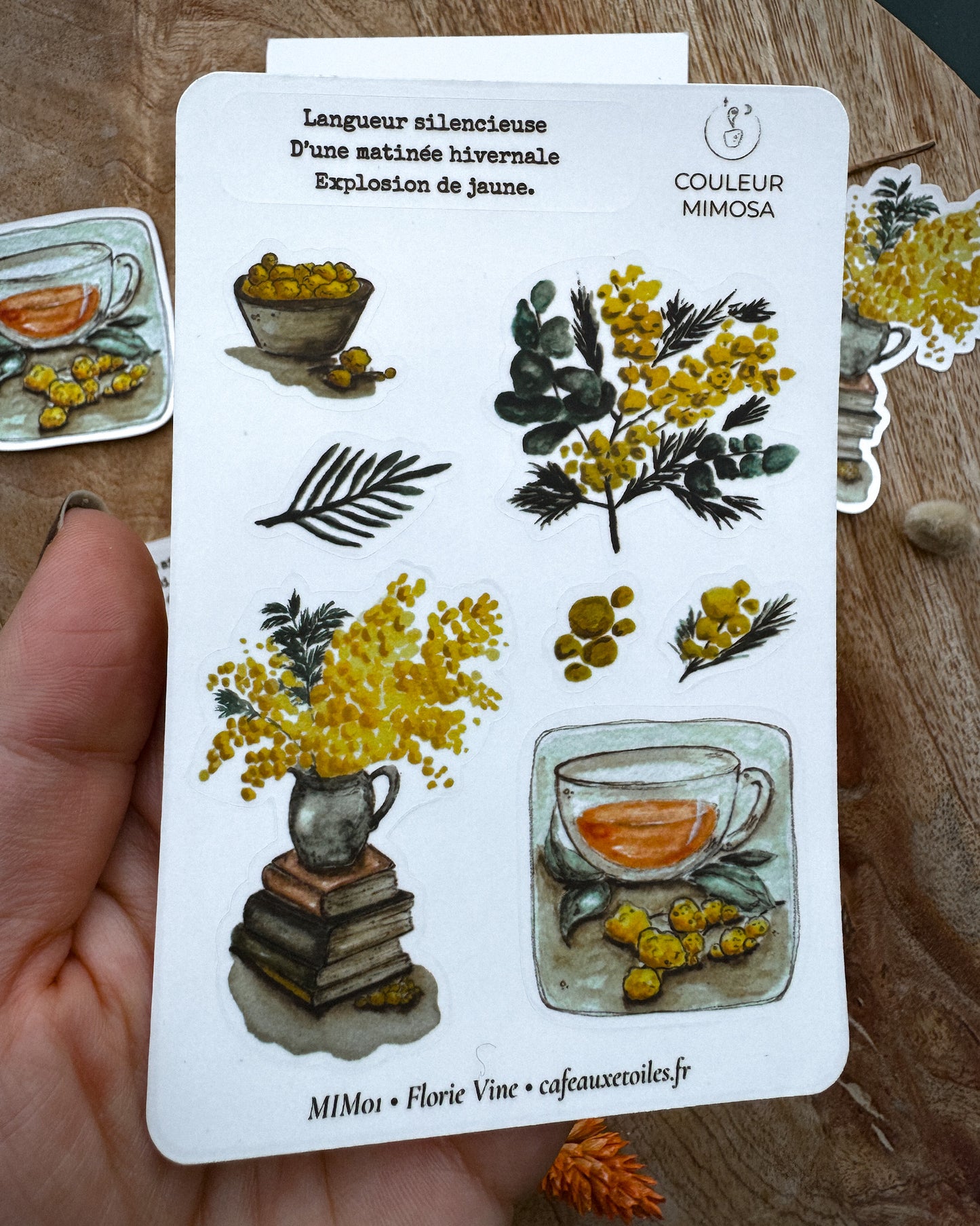 Couleur mimosa - capsule découverte