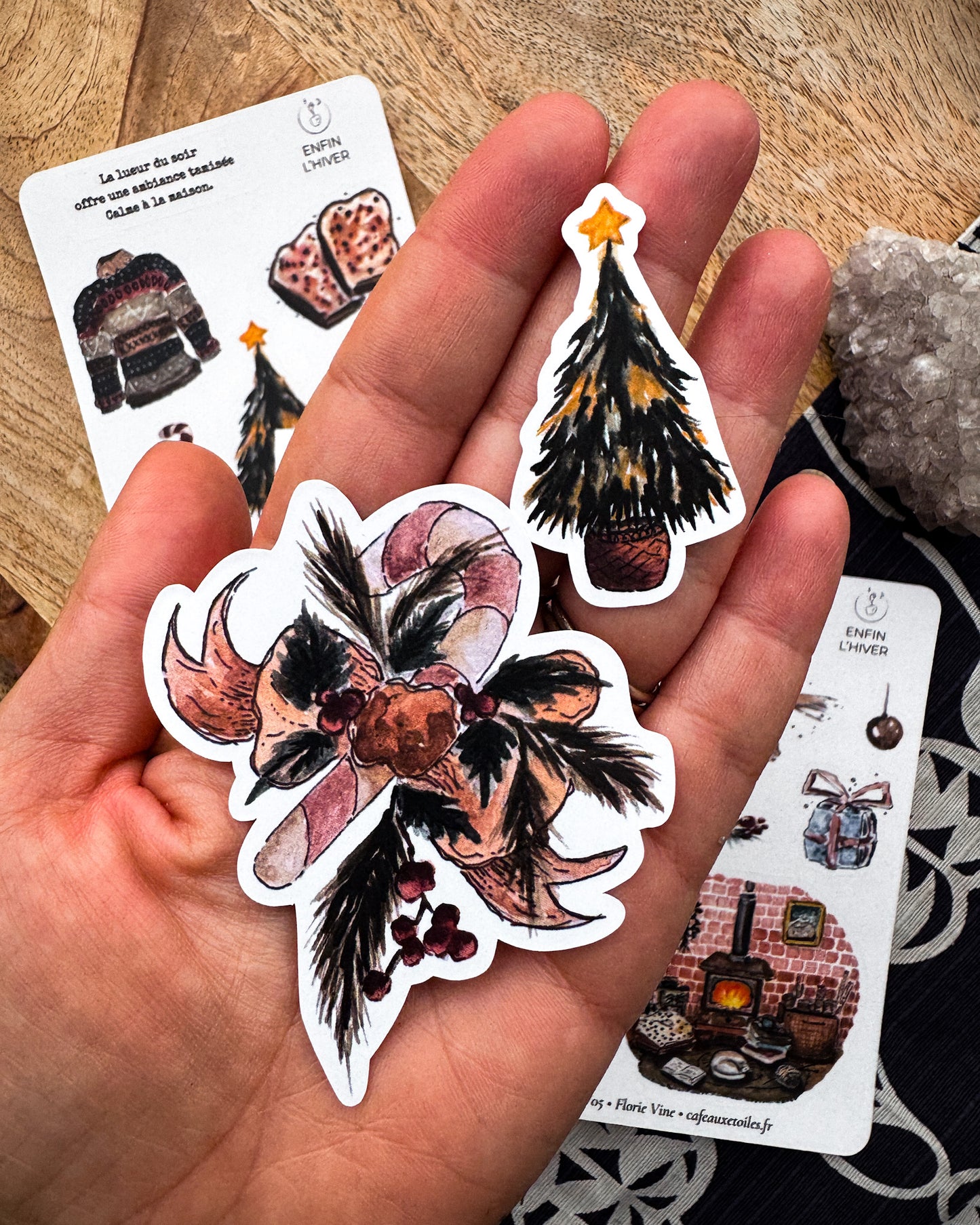 Enfin l'hiver - capsule découverte