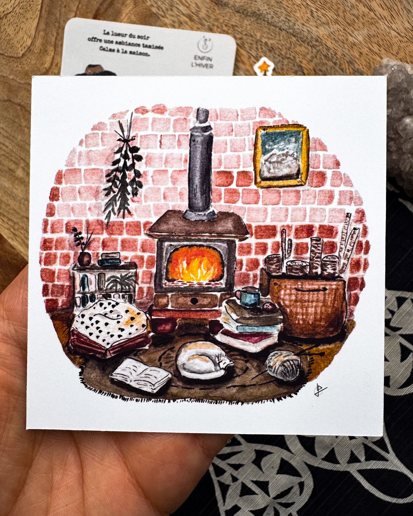 Enfin l'hiver - capsule découverte