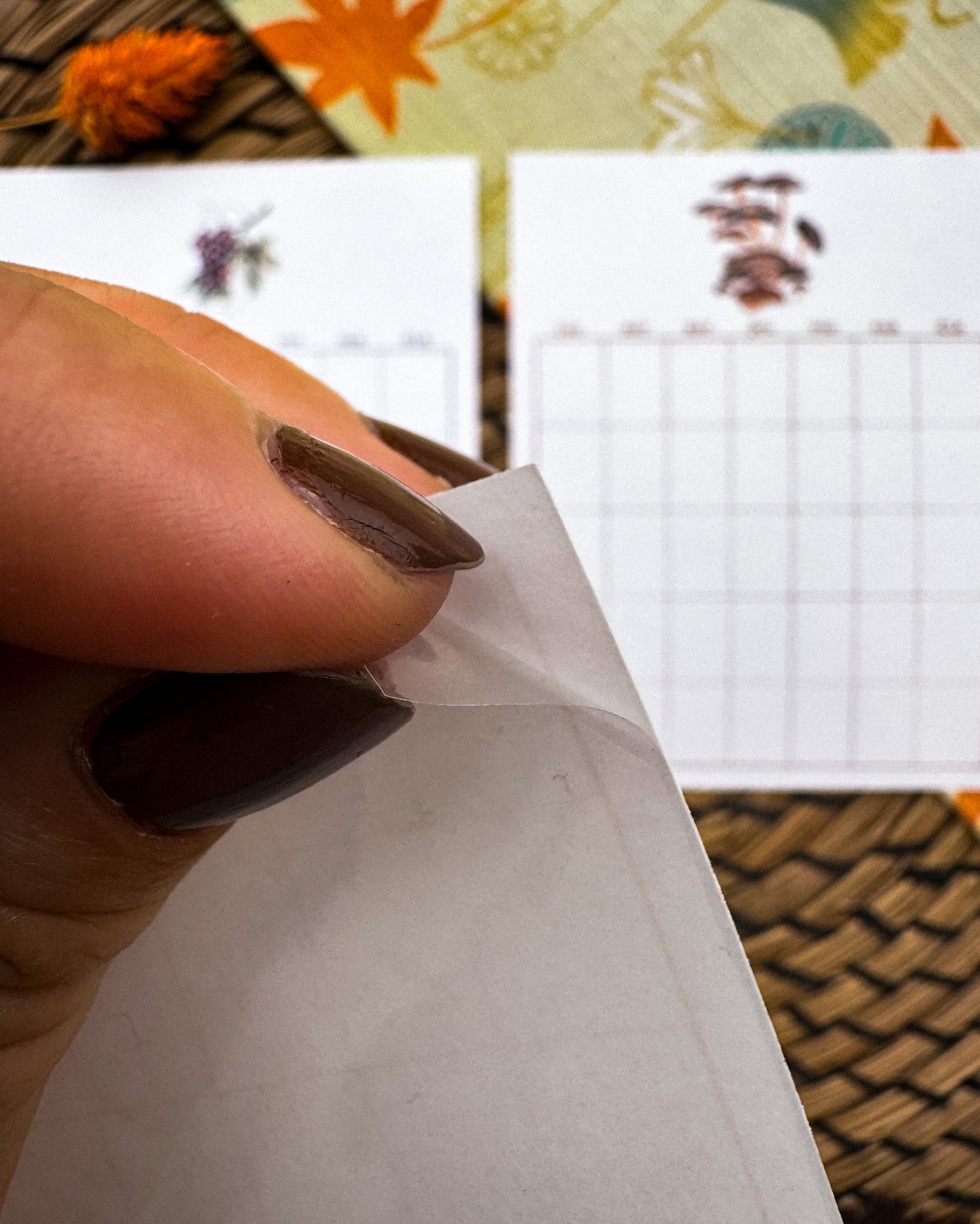 Trésors d'automne - assortiment calendrier