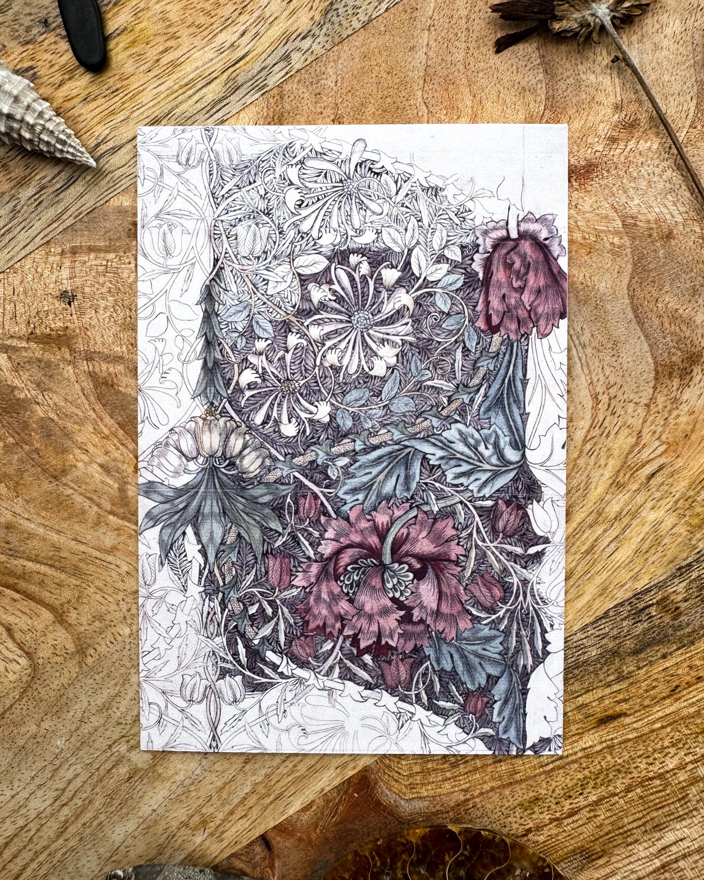 William Morris - capsule découverte