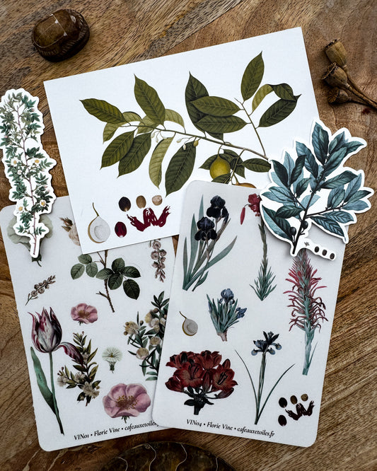 Fleurs vintage - capsule découverte