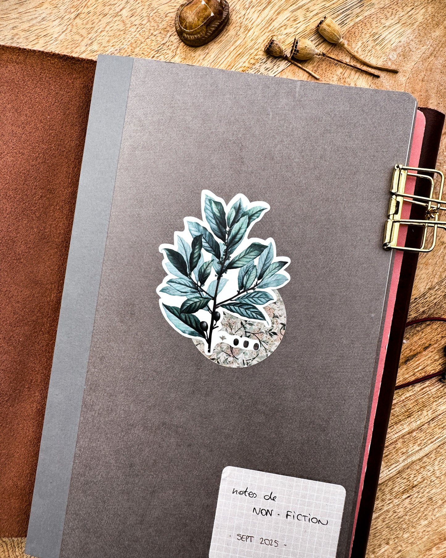 Fleurs vintage - capsule découverte