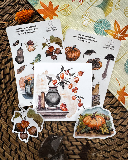 Automne orangé - capsule découverte