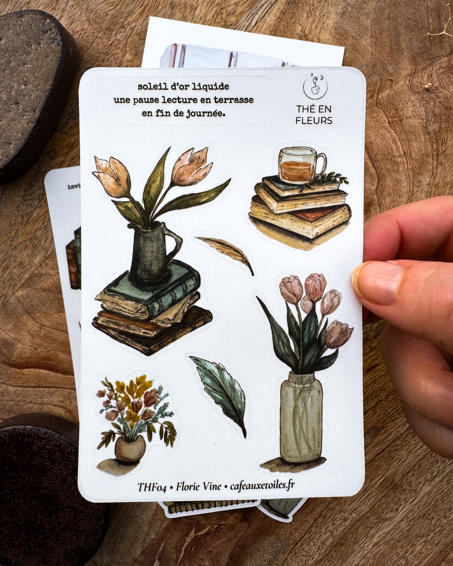 Tulipes - capsule découverte