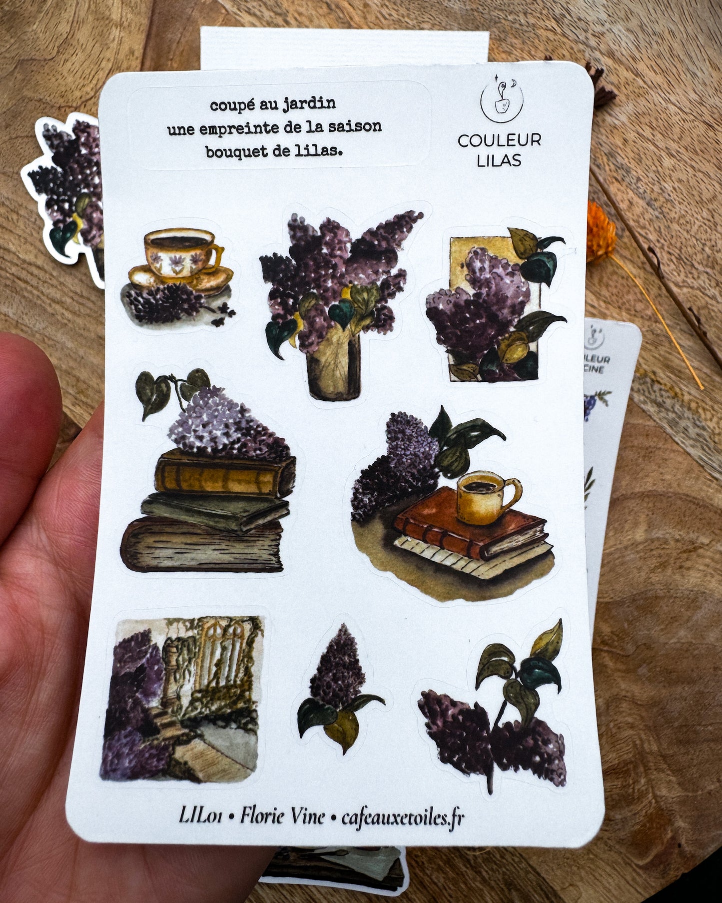 Couleur violette - capsule découverte