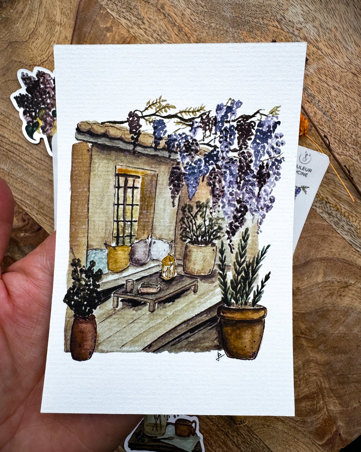 Couleur violette - capsule découverte