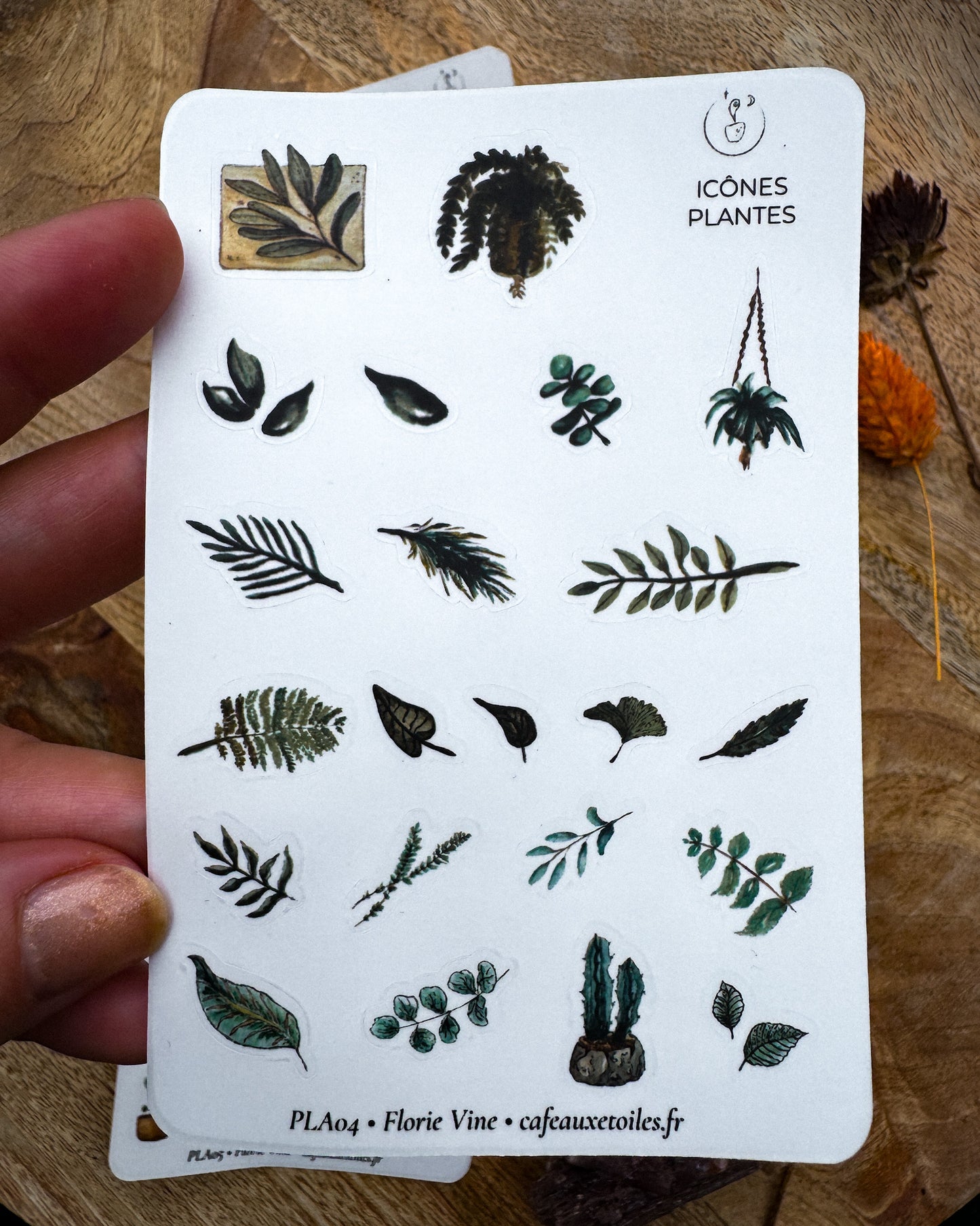 Icônes plantes - planches adhésives