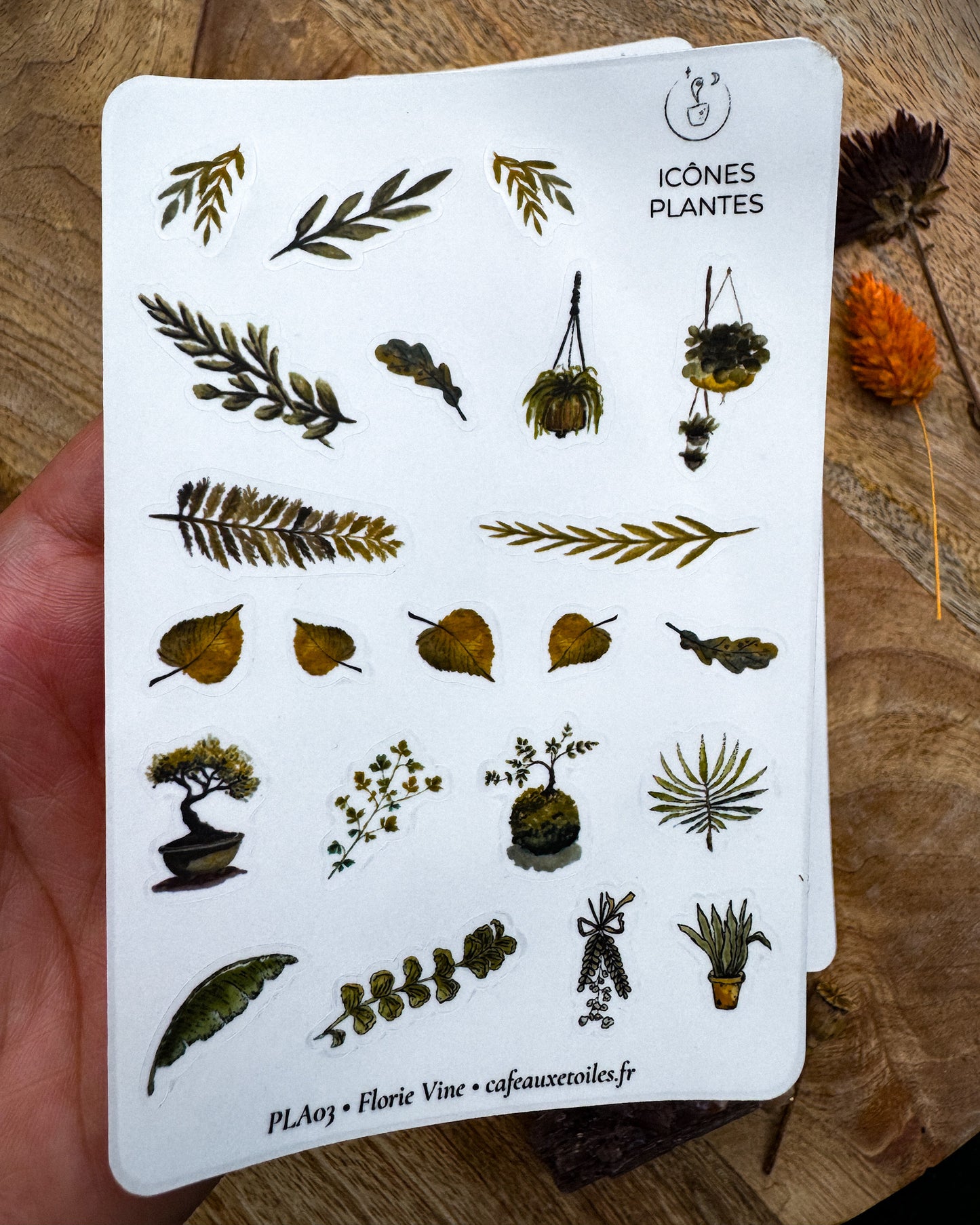 Icônes plantes - planches adhésives