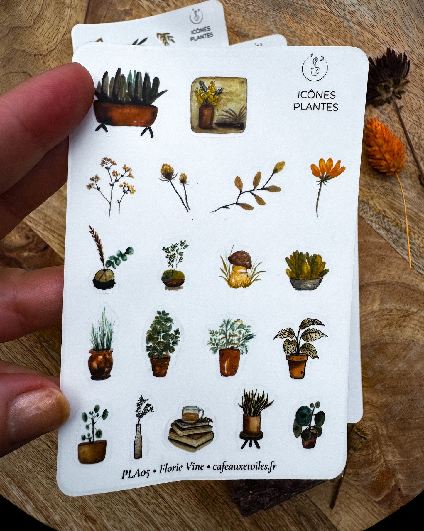 Icônes plantes - planches adhésives