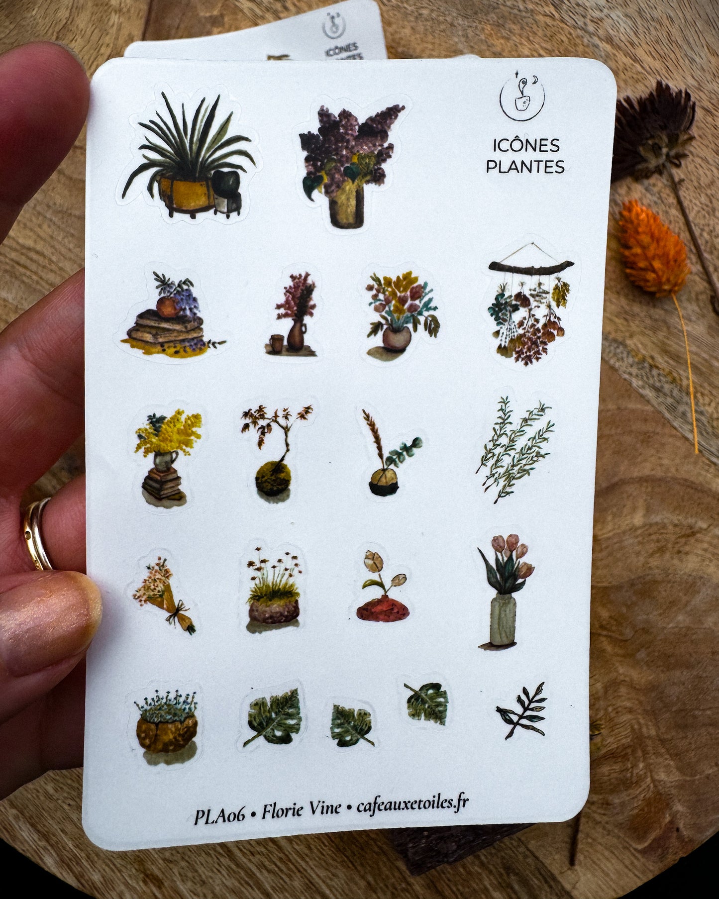 Icônes plantes - planches adhésives