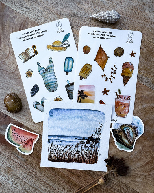 À la plage - capsule découverte